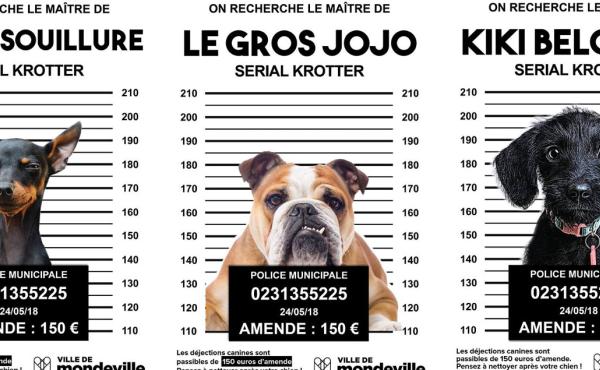 Incivilites Les Dernieres Tendances De Com Crottes De Chien Et Proprete Cap Com Cap Com Incivilites Les Dernieres Tendances De Com Crottes De Chien Et Proprete Cap Com Cap Com