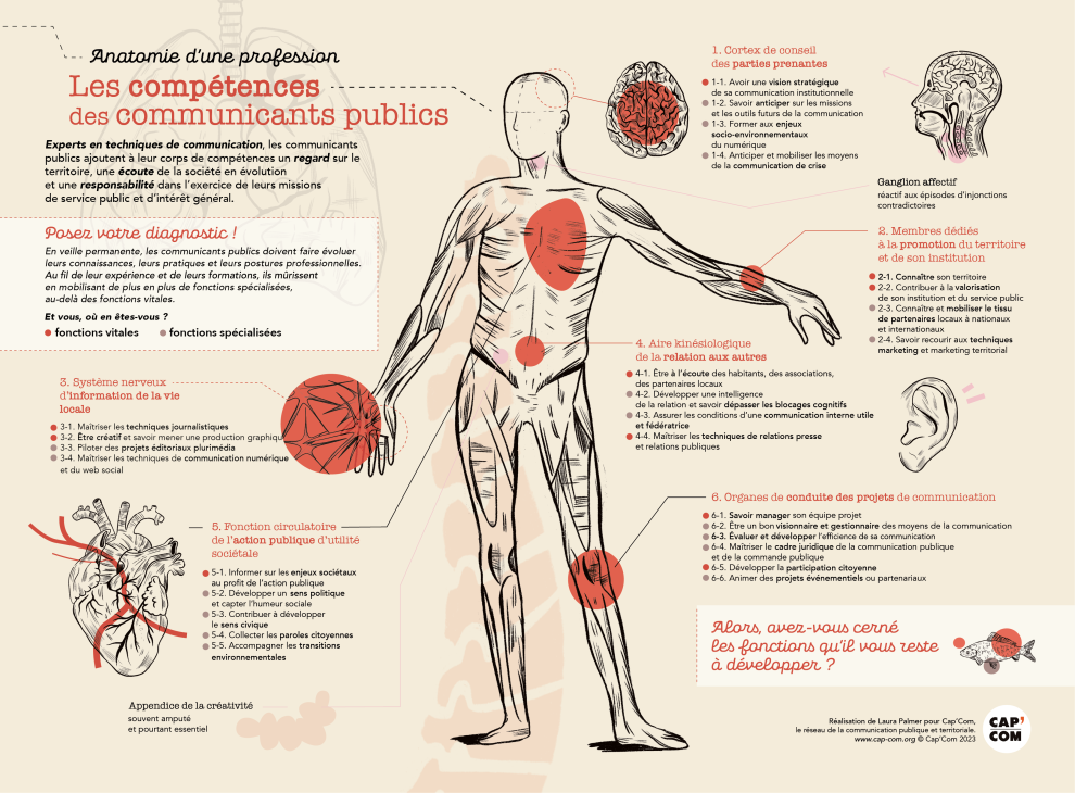 Infographie compétences communicant public
